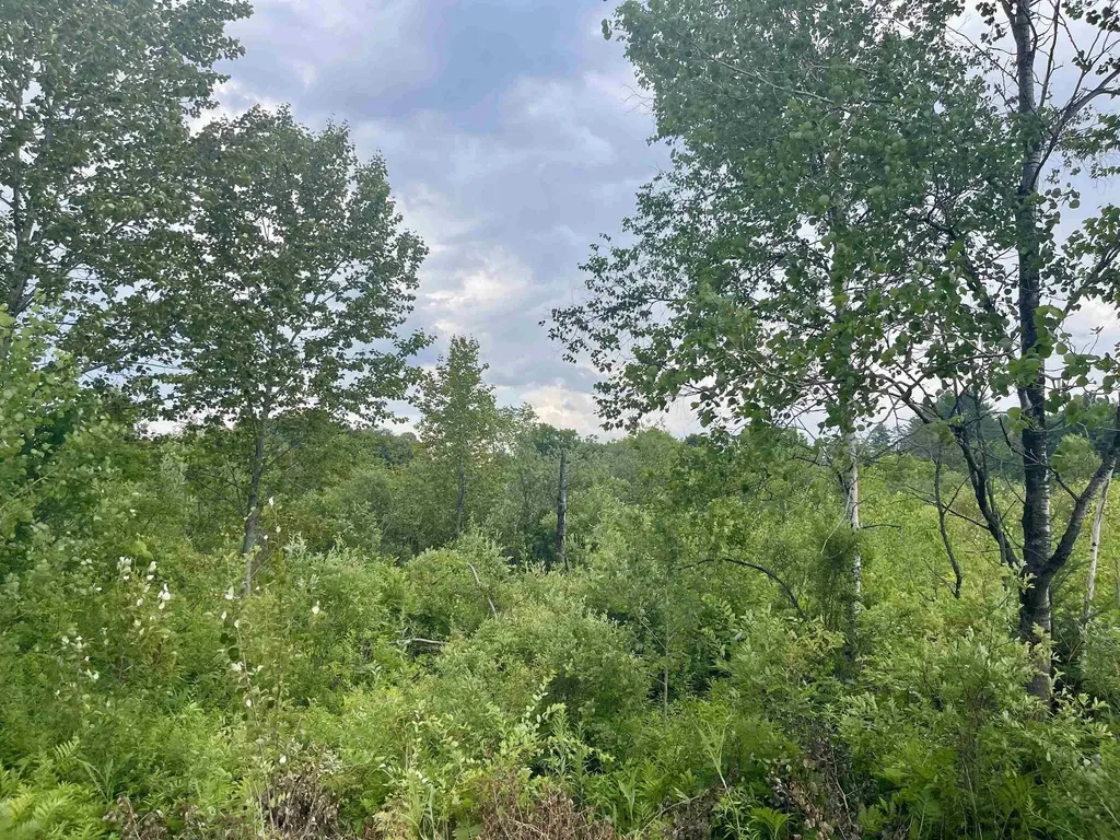 00 Gilman Road Lyndon VT 05851