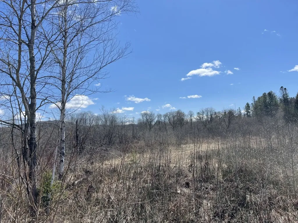 00 Gilman Road Lyndon VT 05851