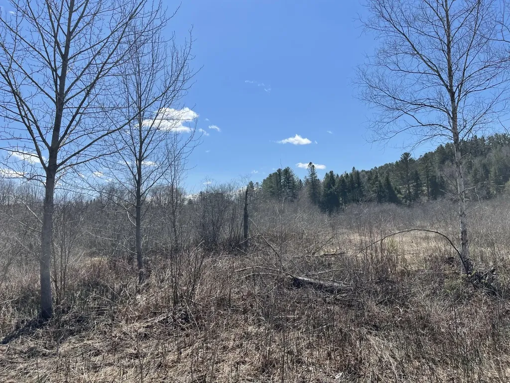 00 Gilman Road Lyndon VT 05851