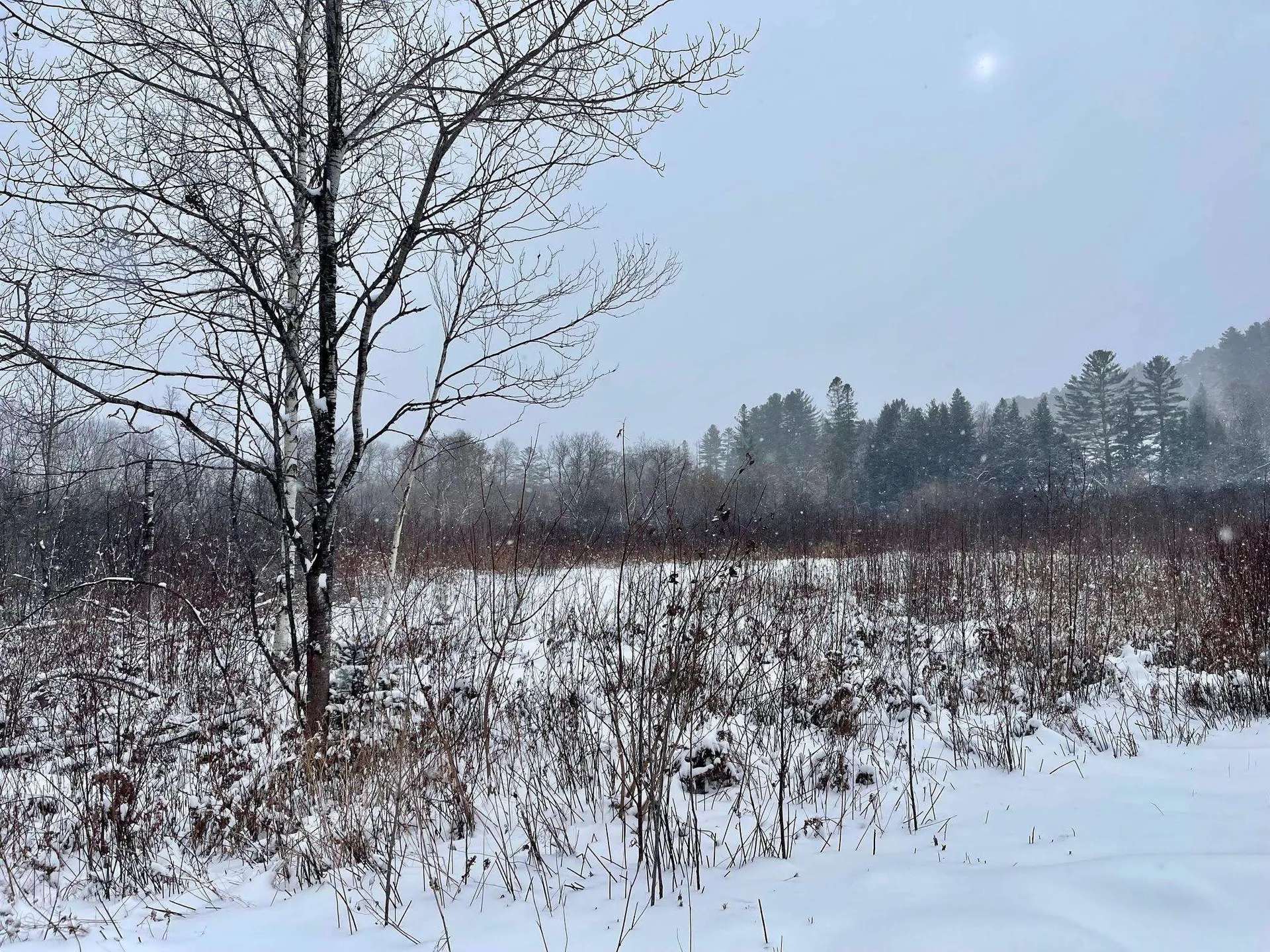 00 Gilman Road Lyndon VT 05851