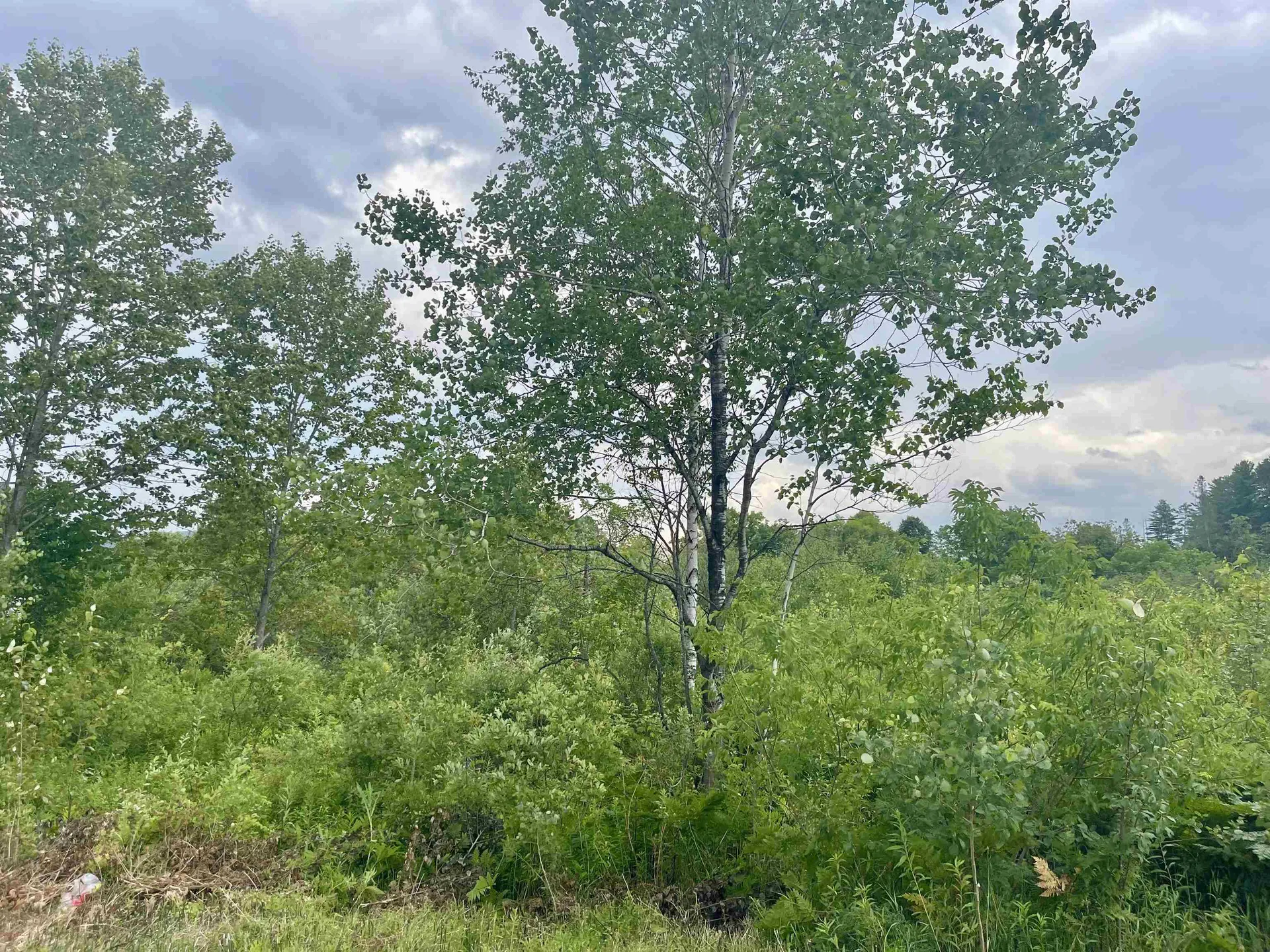 00 Gilman Road Lyndon VT 05851