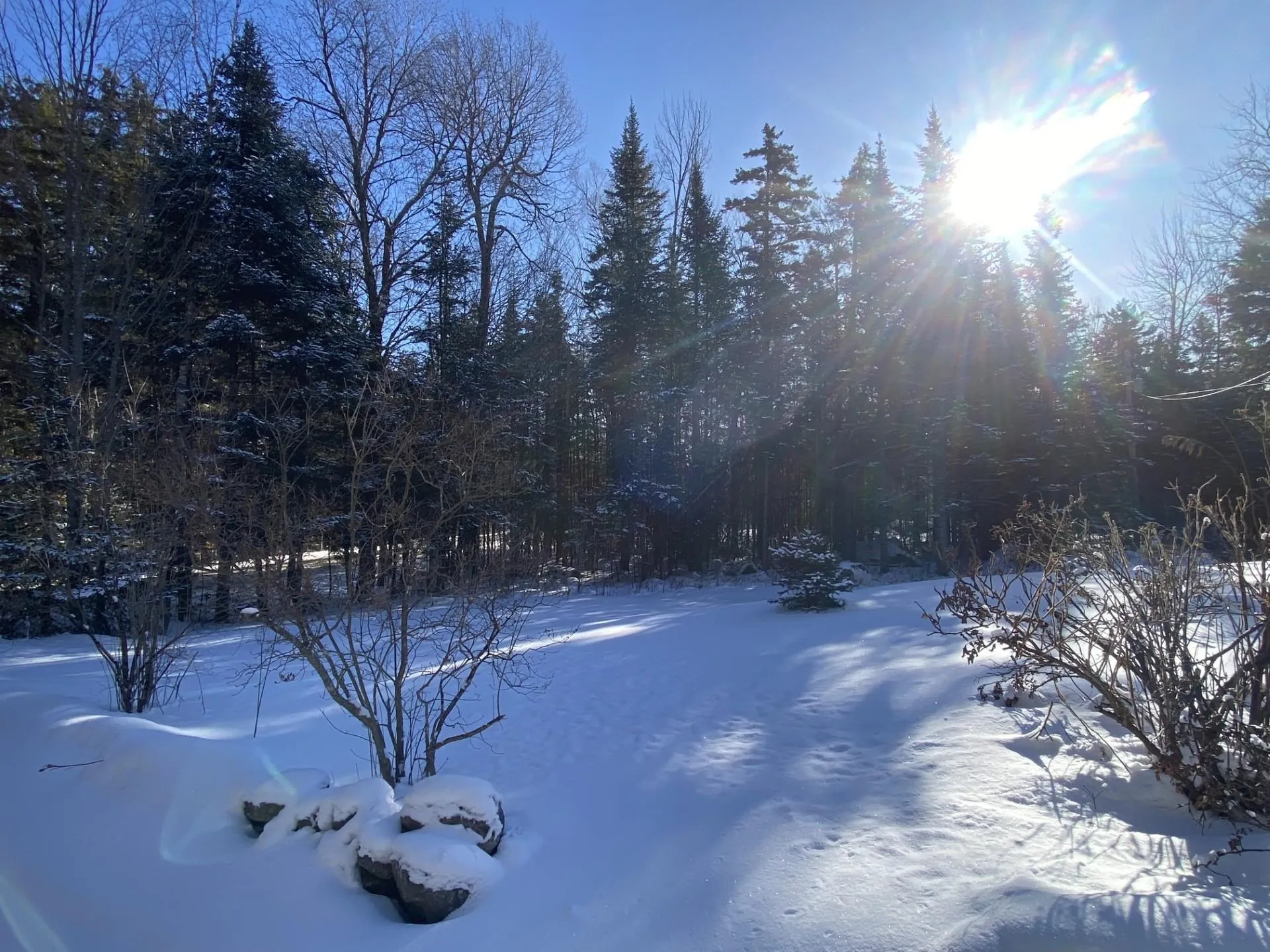 3333 State Forest Road Groton VT 05046