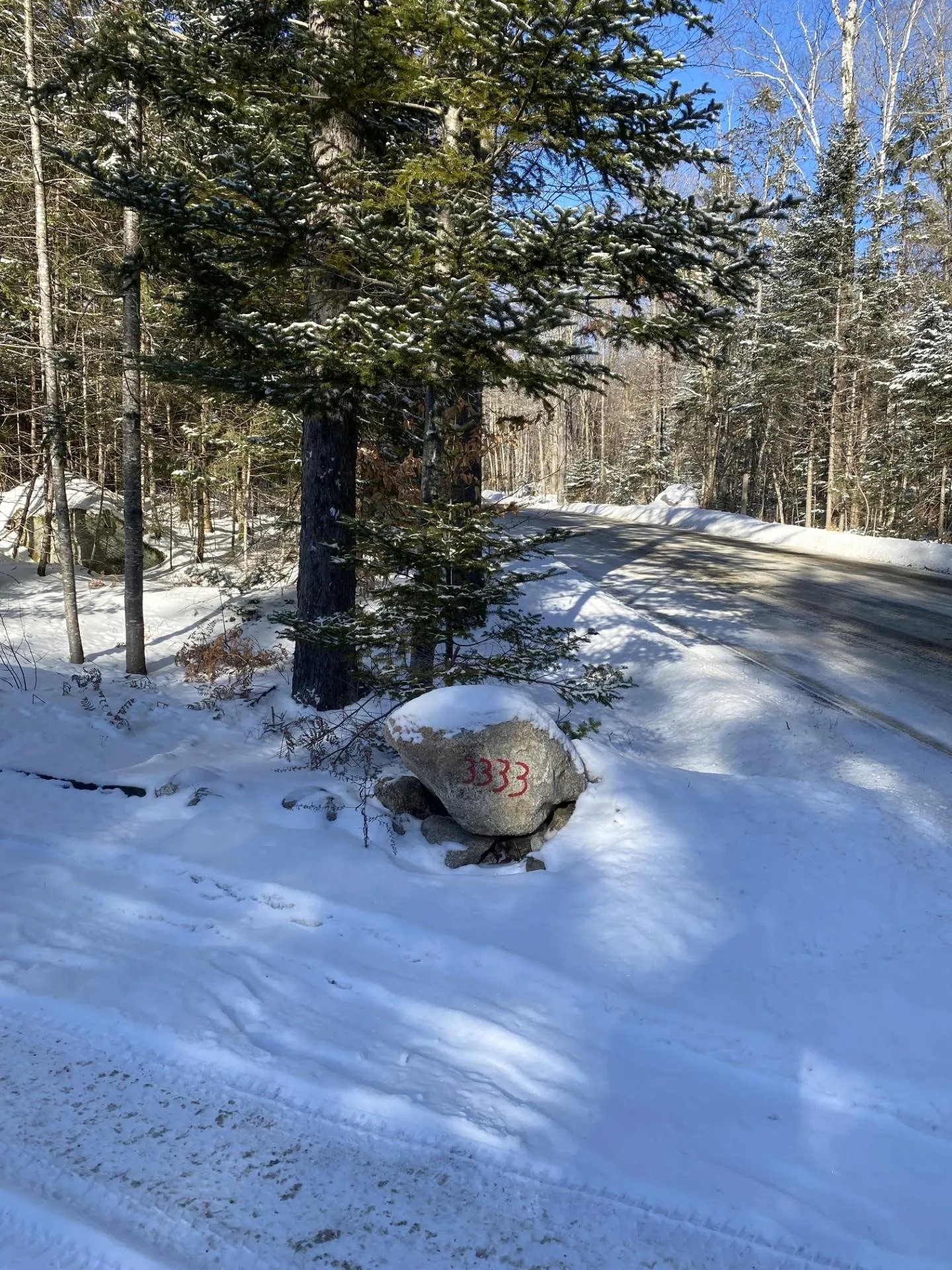 3333 State Forest Road Groton VT 05046