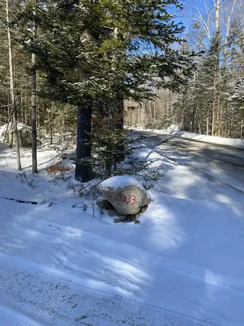 3333 State Forest Road Groton VT 05046