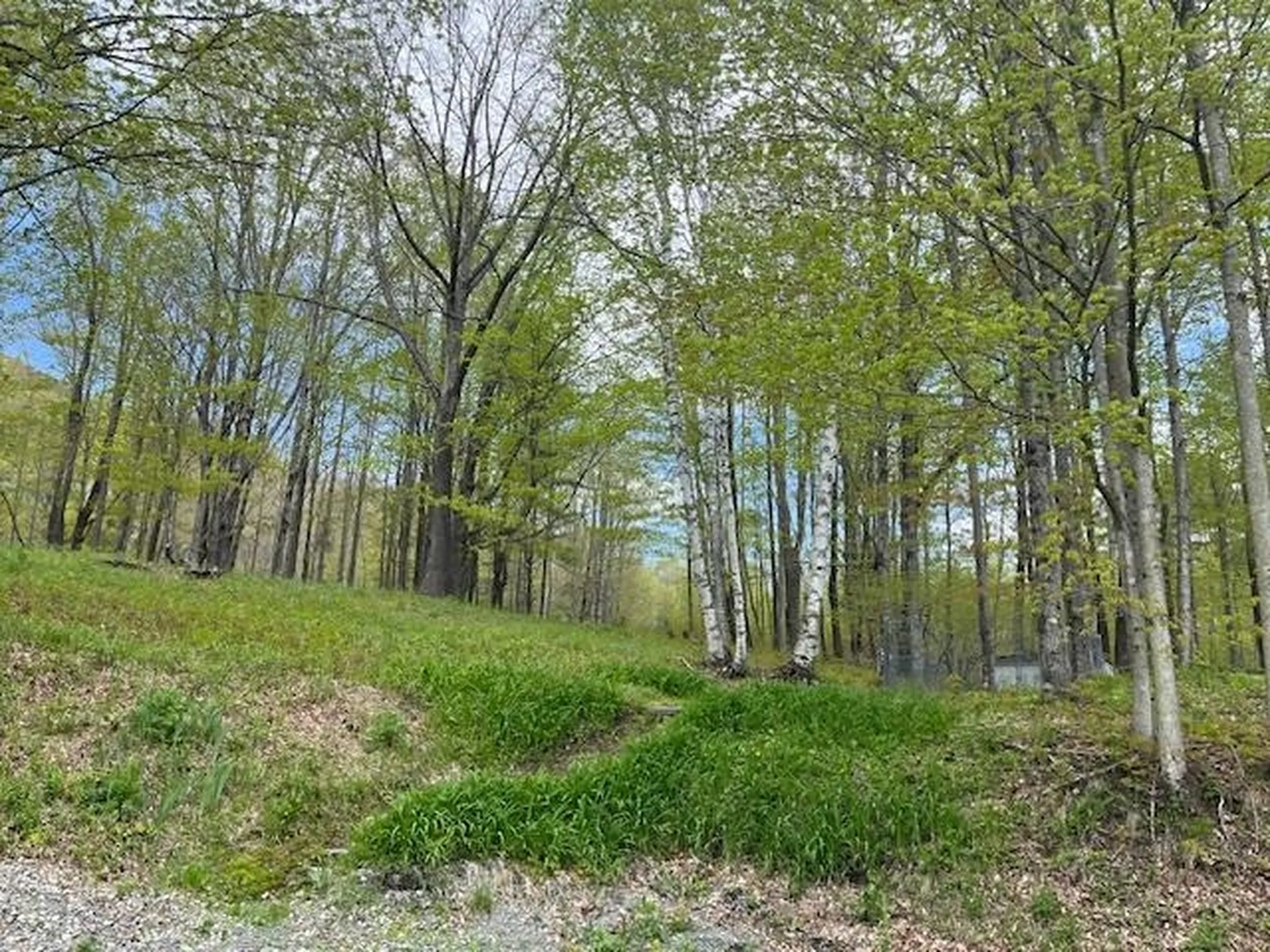 233 Dame Hill Road Orford NH 03777