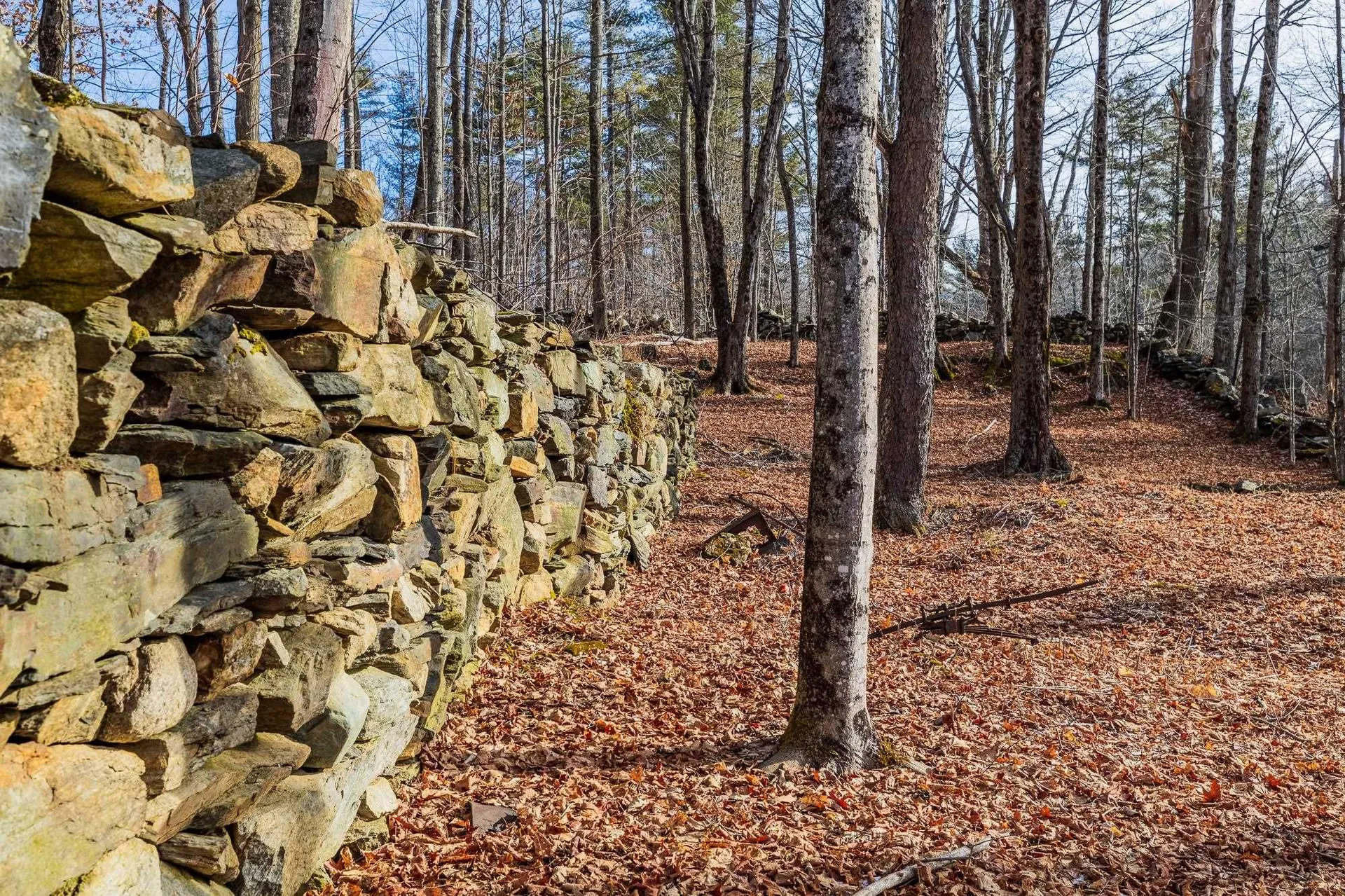 233 Dame Hill Road Orford NH 03777