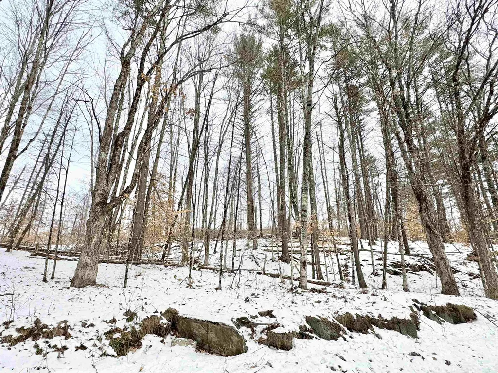 0 Wildlife Road Hartford VT 05084