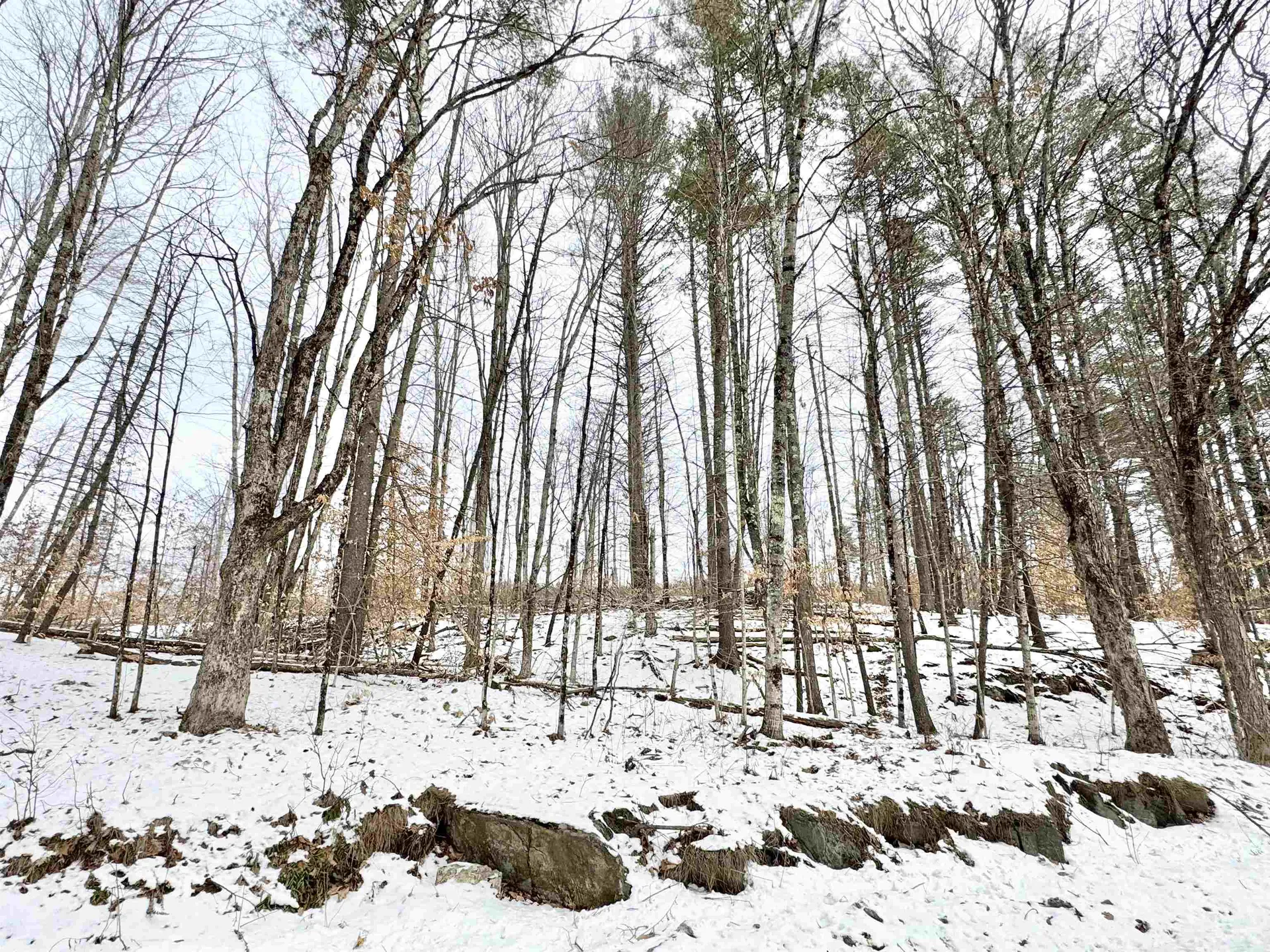 0 Wildlife Road Hartford VT 05084