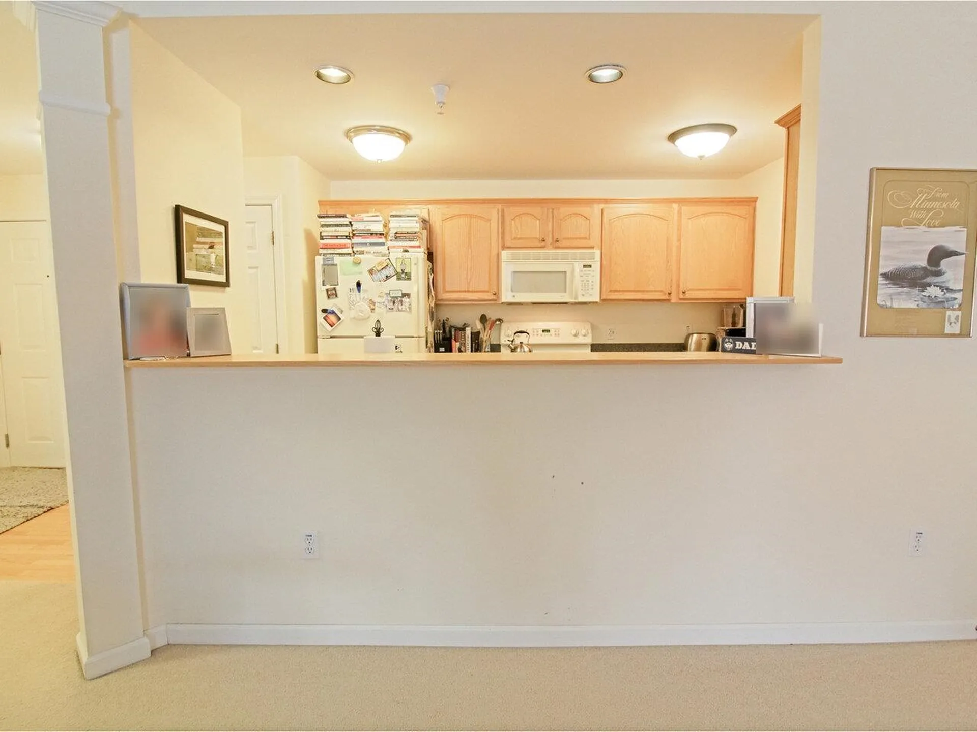 101 Eldredge Street South Burlington VT 05403