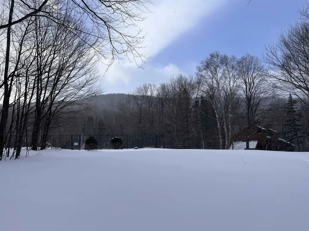 98 Sugar Run Lane Fayston VT 05673