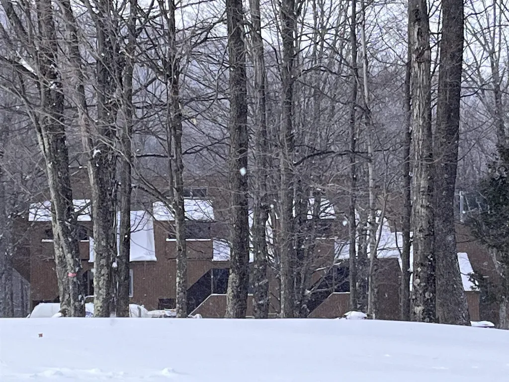98 Sugar Run Lane Fayston VT 05673