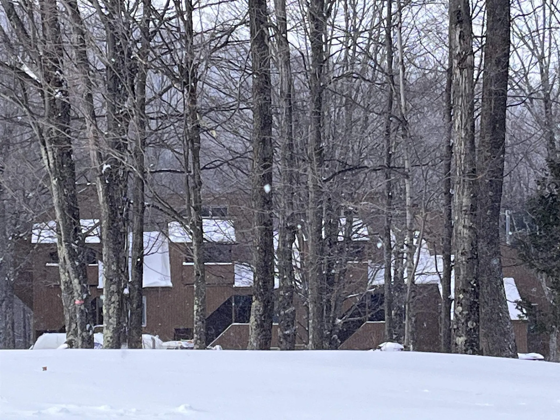 98 Sugar Run Lane Fayston VT 05673