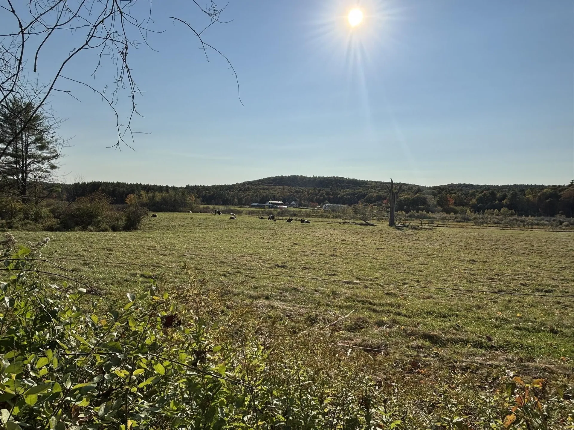 00 Middle Road Hancock NH 03449