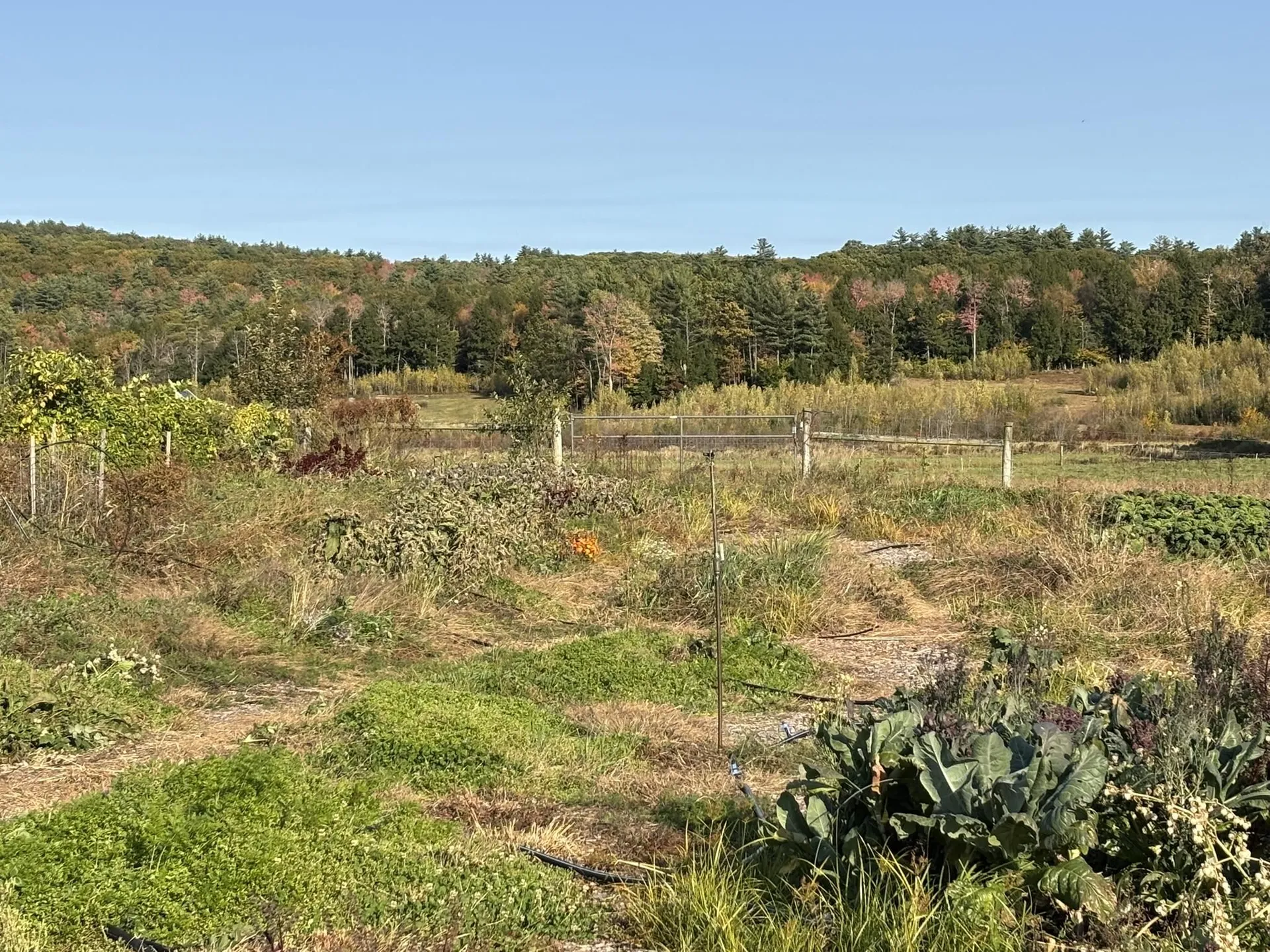 00 Middle Road Hancock NH 03449