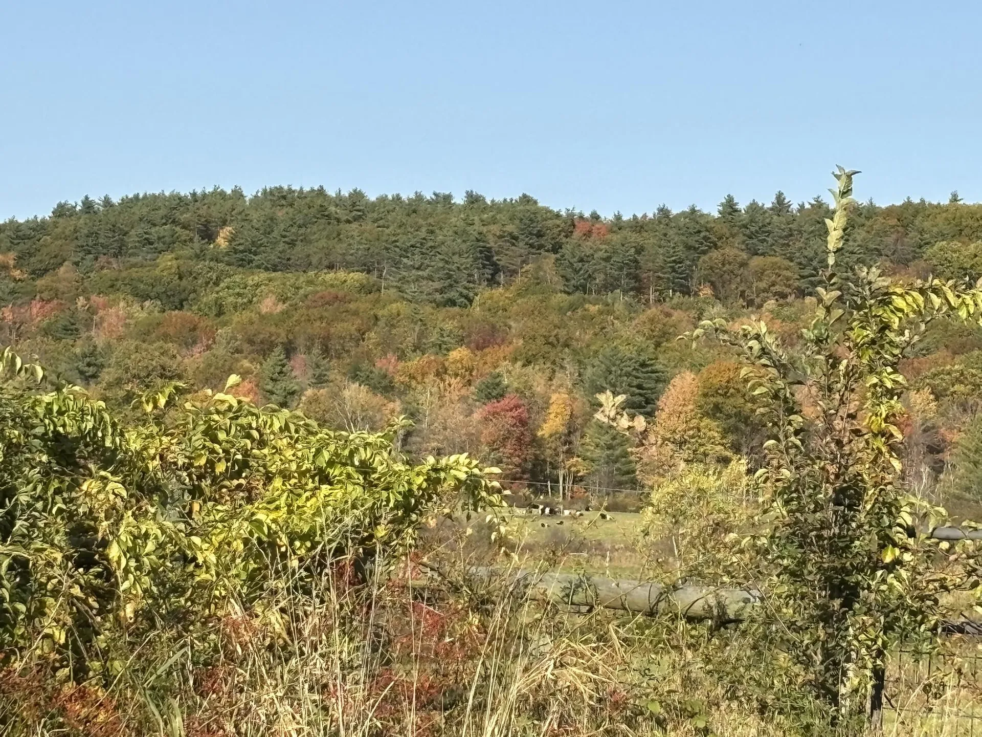 00 Middle Road Hancock NH 03449