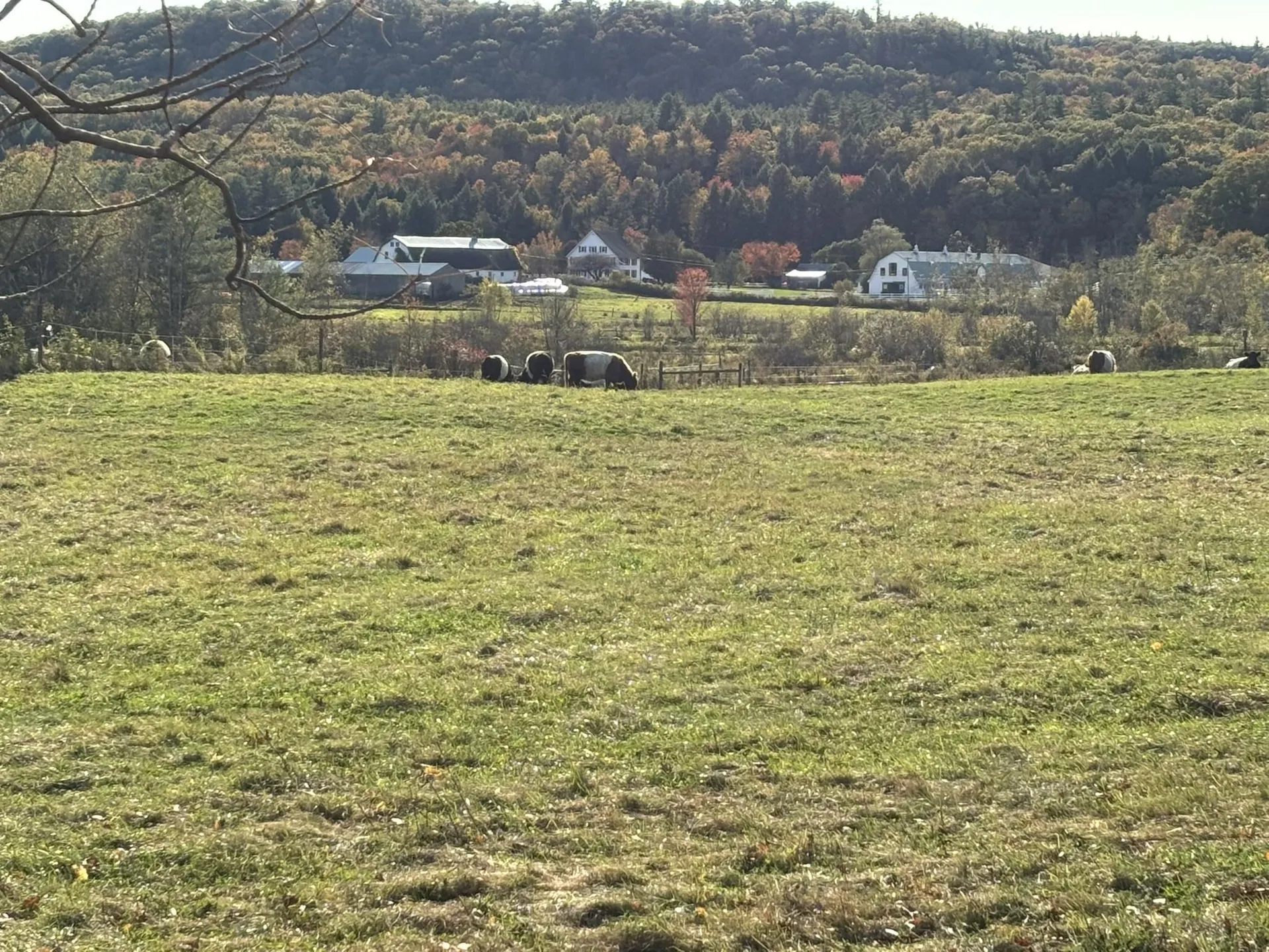 00 Middle Road Hancock NH 03449