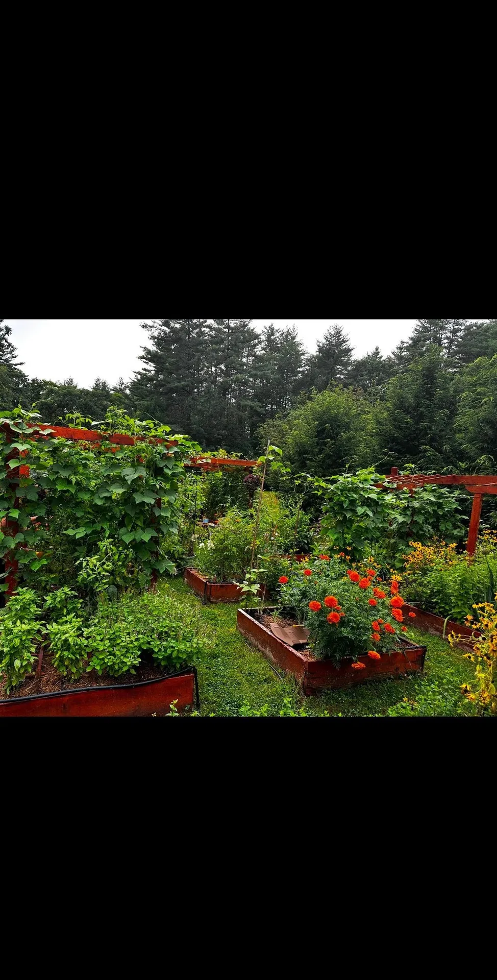 101 Buxton School Road Weare NH 03281