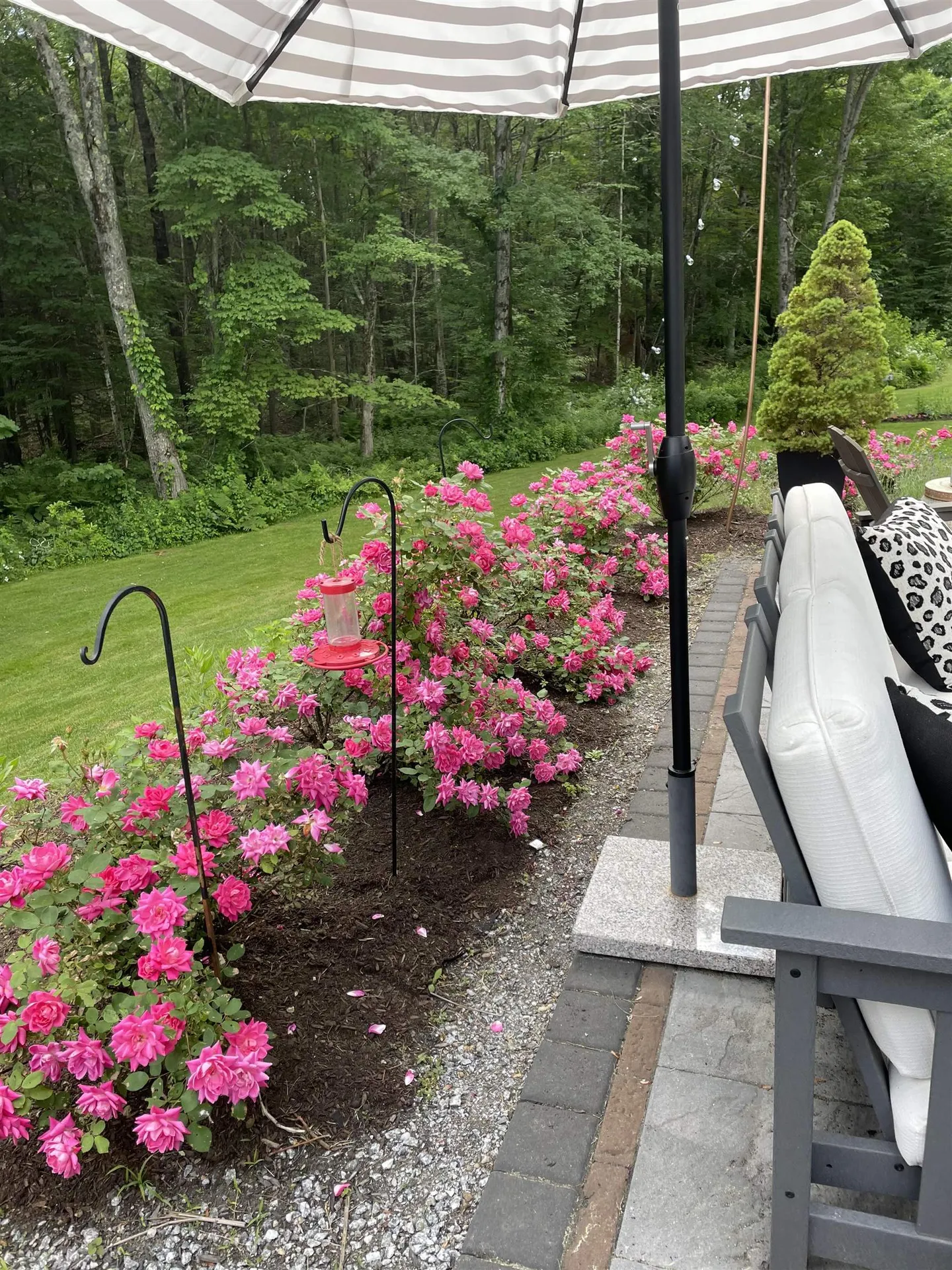 101 Buxton School Road Weare NH 03281