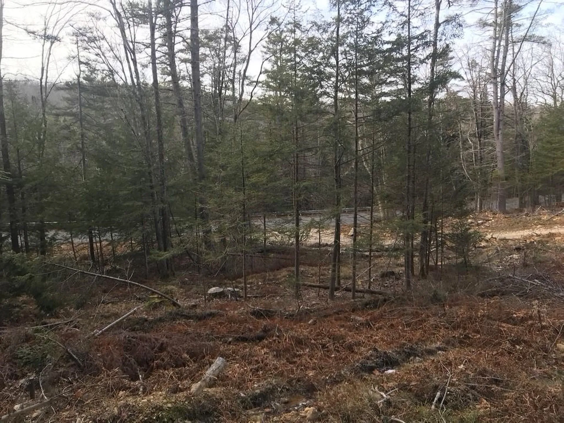 Map 6 Lot 96-2 Granite Lake Road Nelson NH 03457