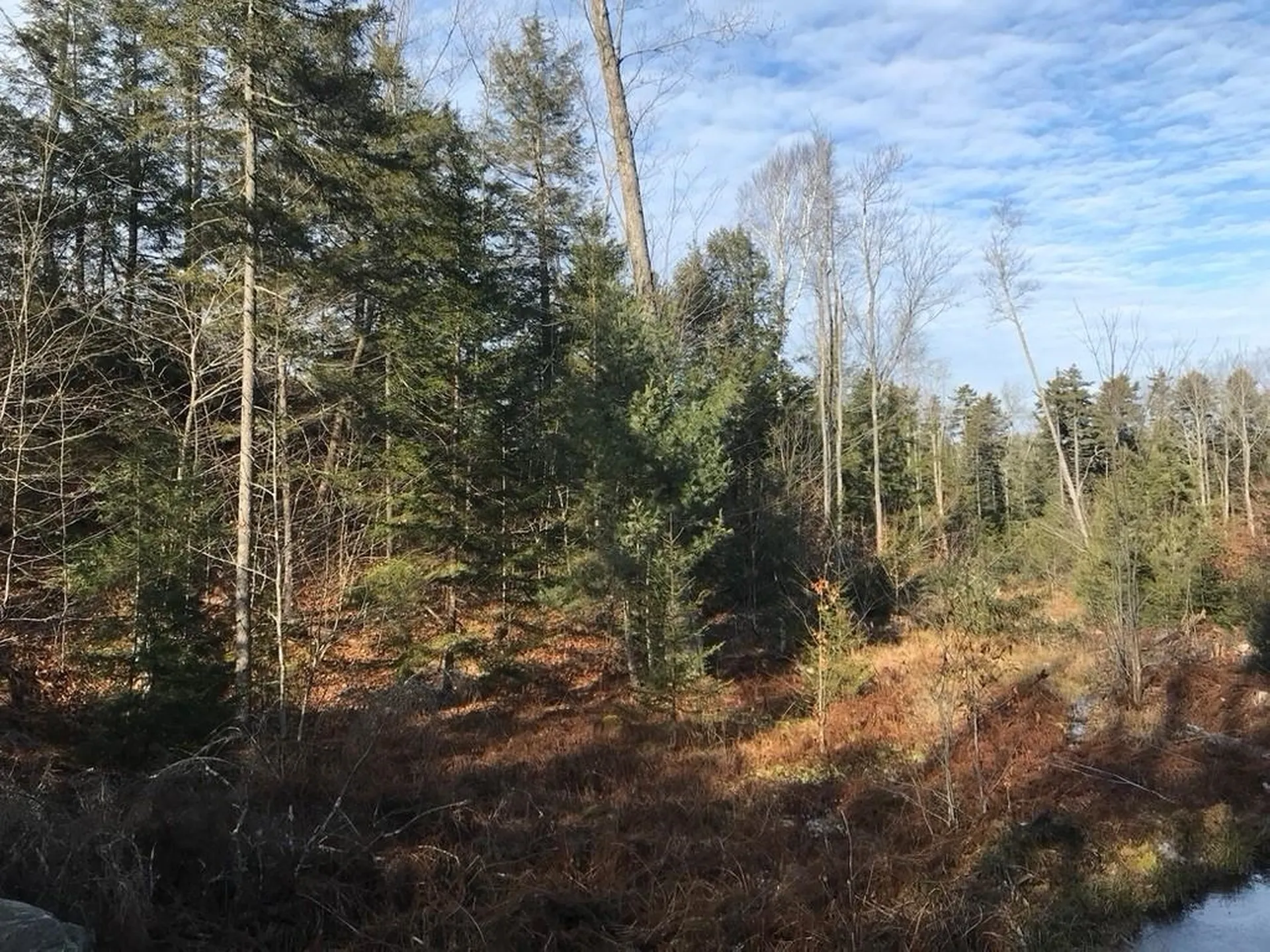 Map 6 Lot 96-2 Granite Lake Road Nelson NH 03457