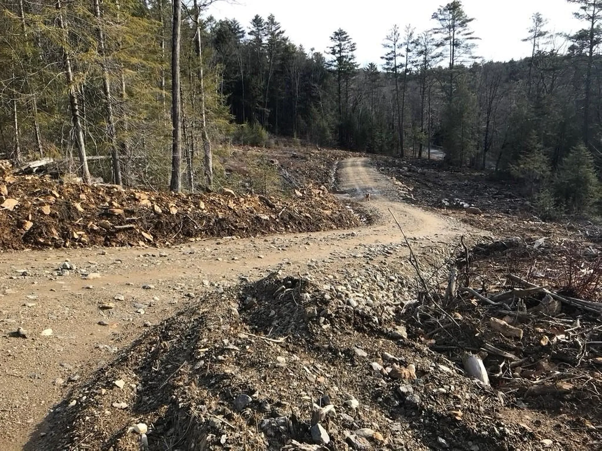 Map 6 Lot 96-2 Granite Lake Road Nelson NH 03457