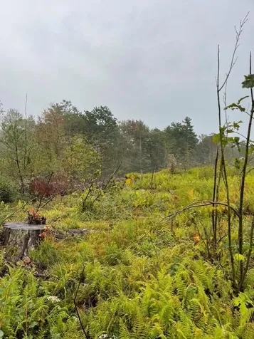 Map 6 Lot 96-2 Granite Lake Road Nelson NH 03457