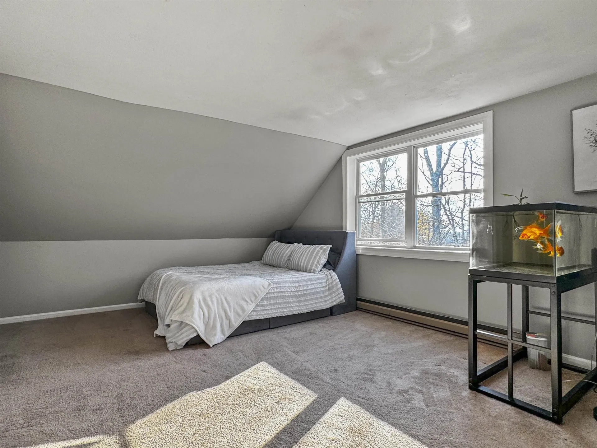 46 Folsom Drive Newmarket NH 03857-2049