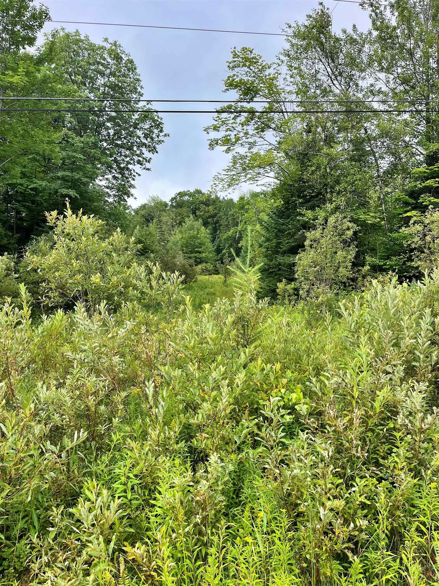 3055 Vt Route 58 W Irasburg VT 05845