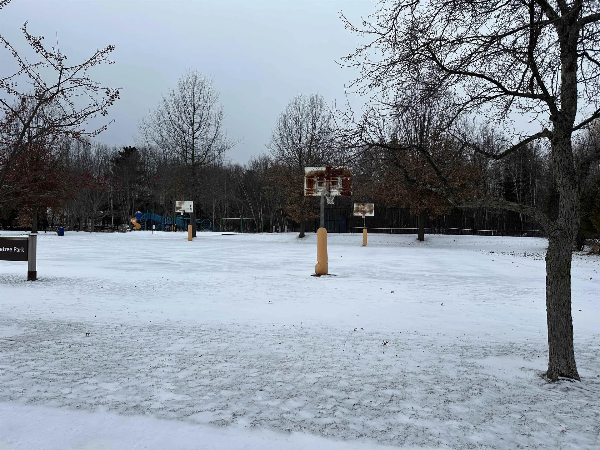 151 Cumberland Road Burlington VT 05408