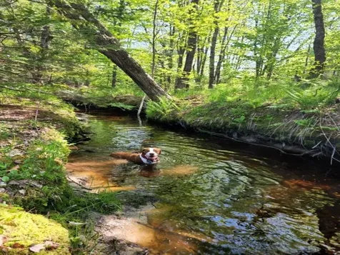 20 Storage Road Effingham NH 03882