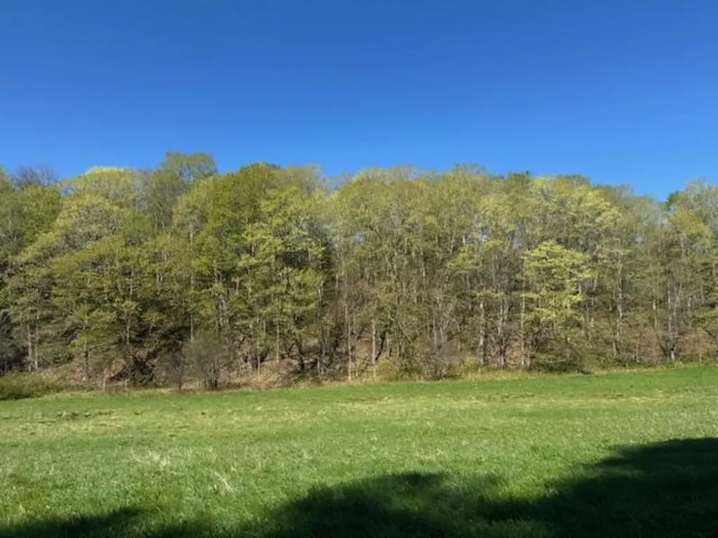 1573 Mount Pleasant Street St. Johnsbury VT 05819