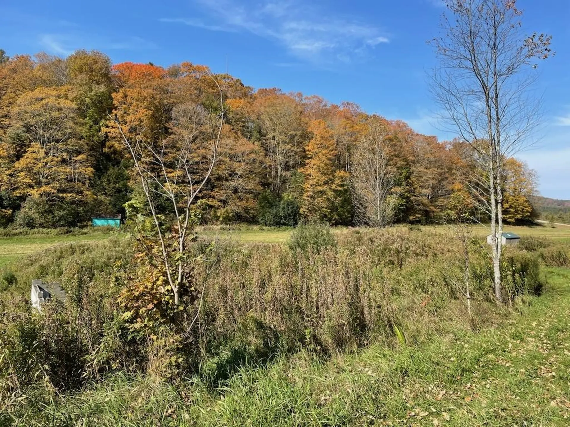 1573 Mount Pleasant Street St. Johnsbury VT 05819