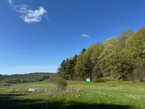 1573 Mount Pleasant Street St. Johnsbury VT 05819