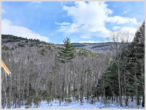 103 Bell Valley Road Campton NH 03223
