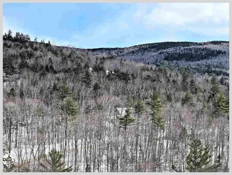 103 Bell Valley Road Campton NH 03223