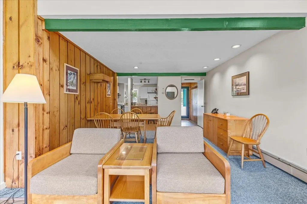 185 Village Green Drive Stowe VT 05672