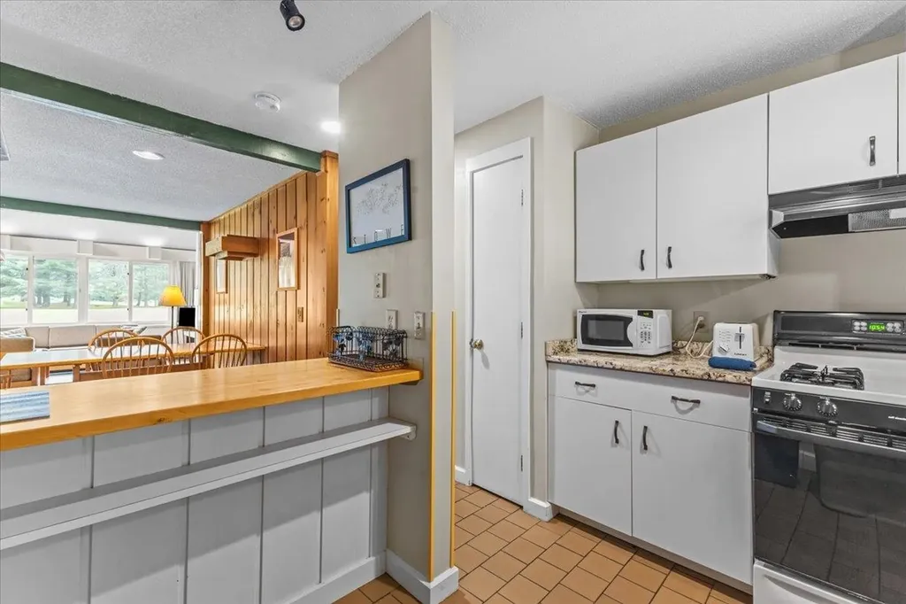 185 Village Green Drive Stowe VT 05672