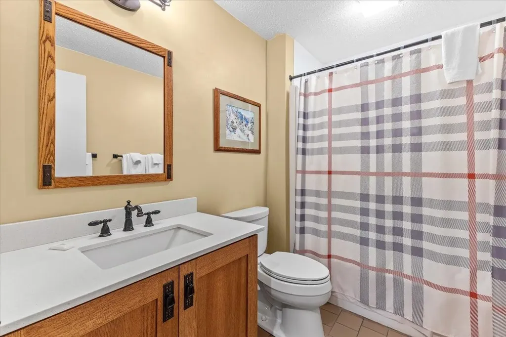 185 Village Green Drive Stowe VT 05672