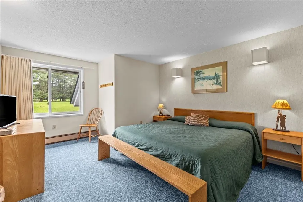 185 Village Green Drive Stowe VT 05672