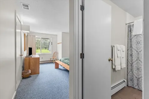 185 Village Green Drive Stowe VT 05672