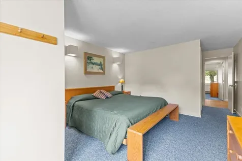 185 Village Green Drive Stowe VT 05672