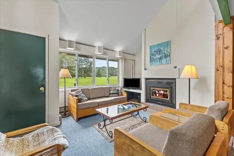 185 Village Green Drive Stowe VT 05672