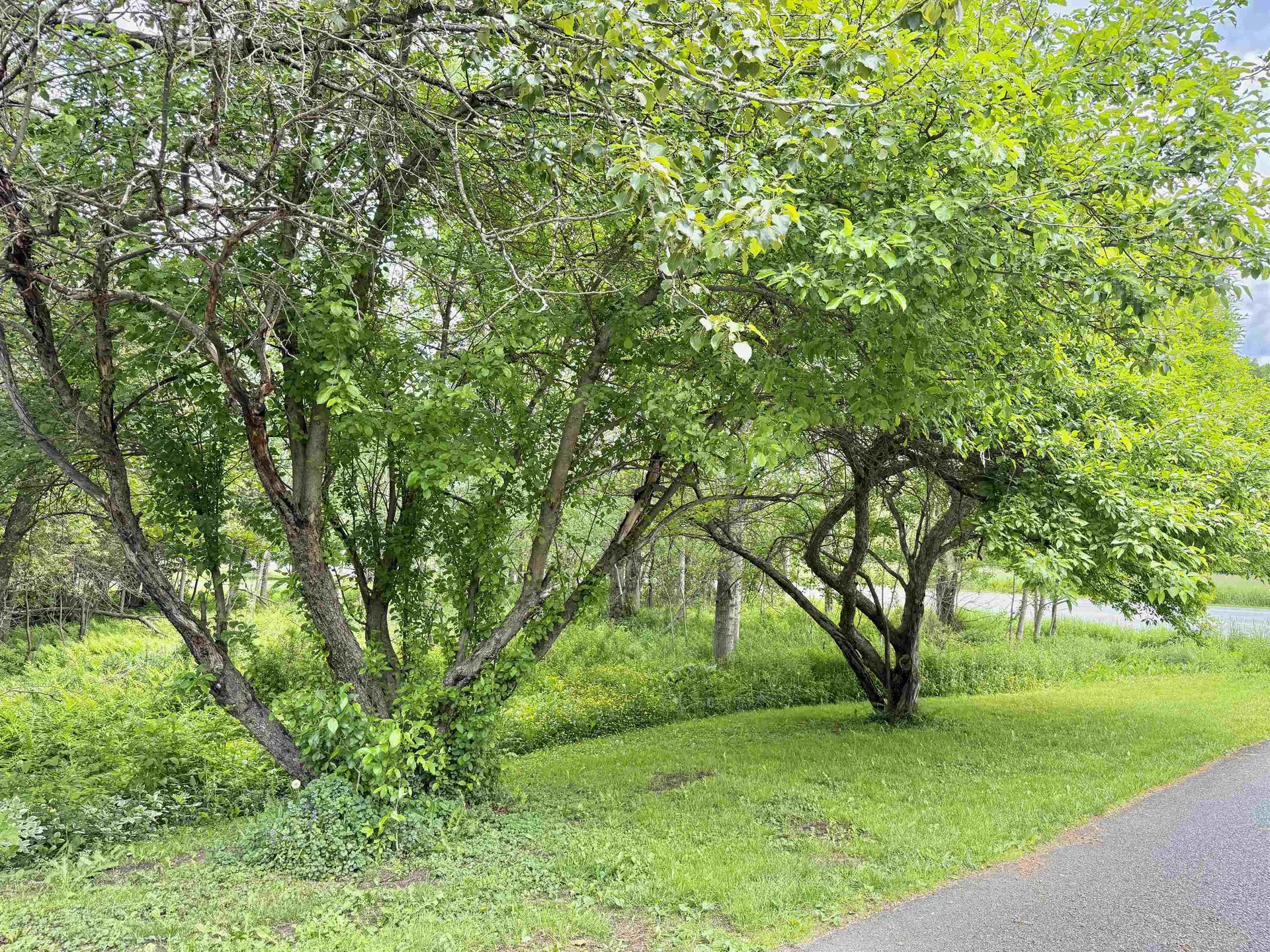 626 Highland Avenue Troy VT 05859