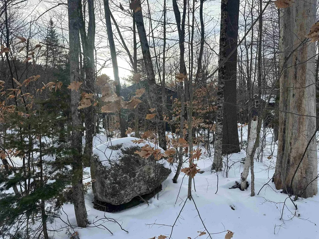 00 Loon Circle Londonderry VT 05155