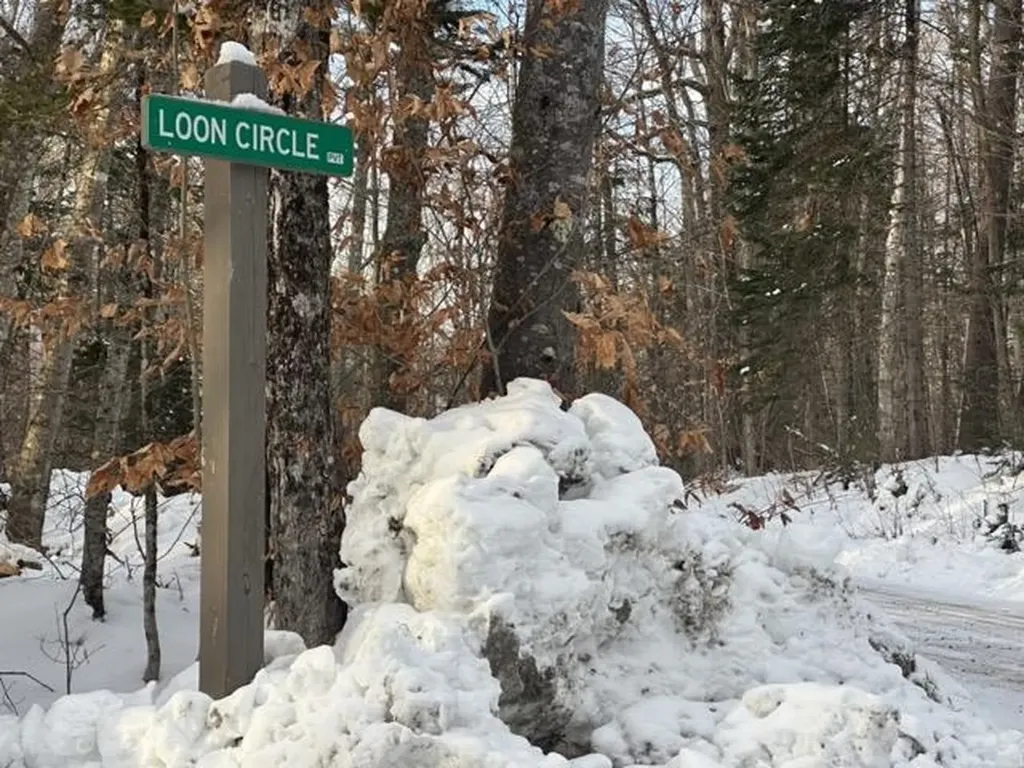 00 Loon Circle Londonderry VT 05155