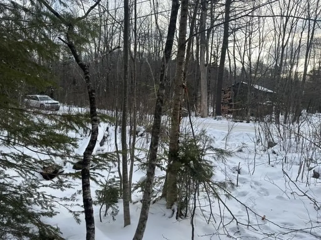 00 Loon Circle Londonderry VT 05155