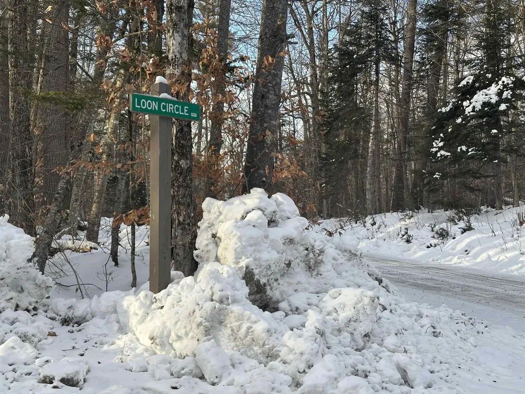 00 Loon Circle Londonderry VT 05155