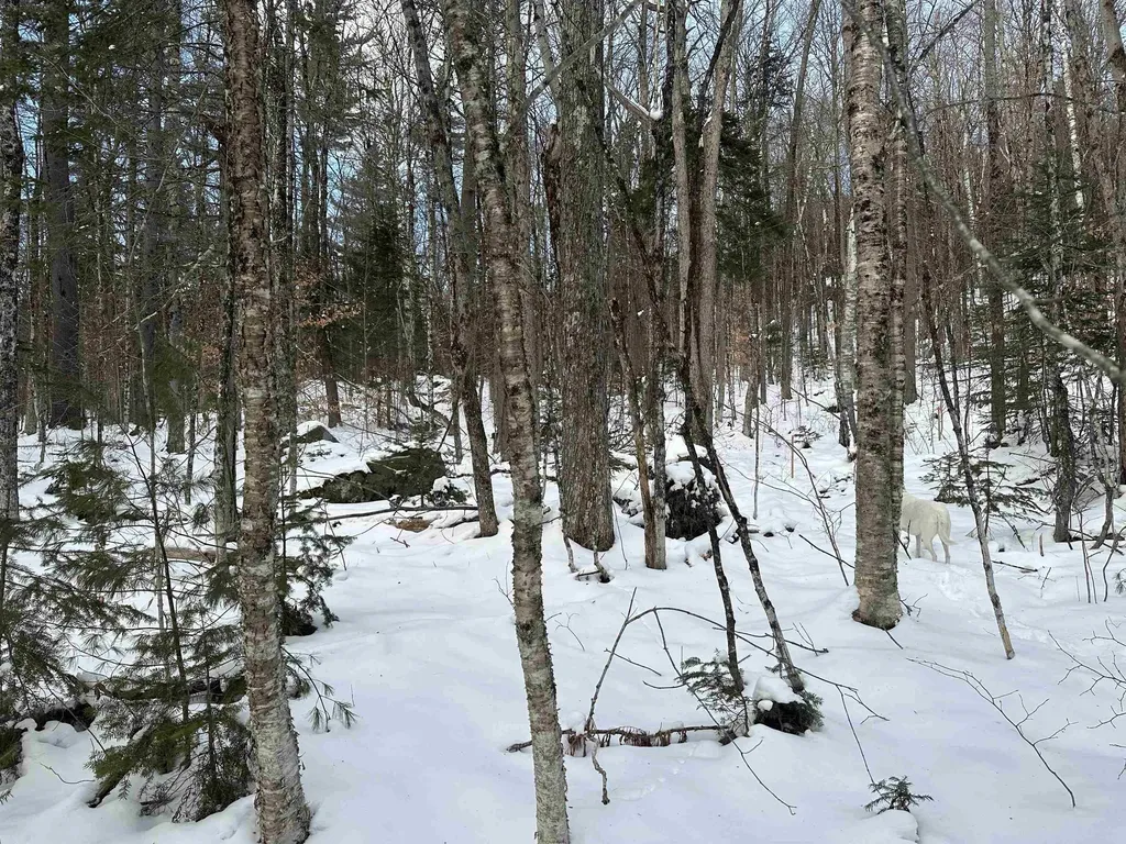 00 Loon Circle Londonderry VT 05155