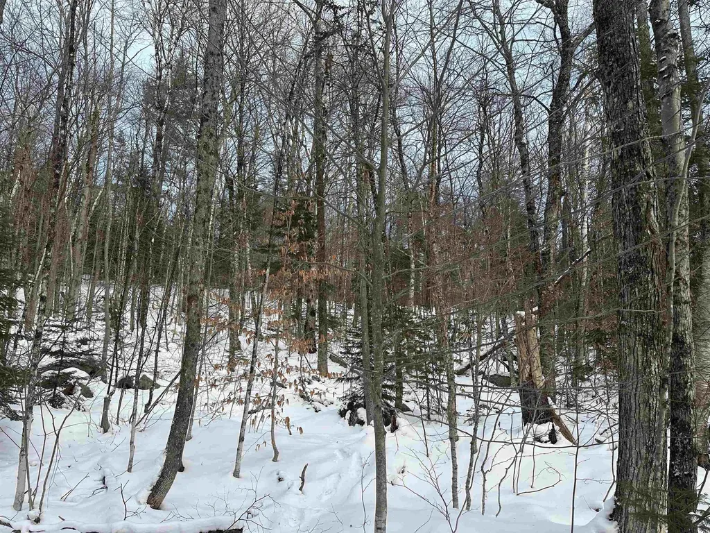 00 Loon Circle Londonderry VT 05155