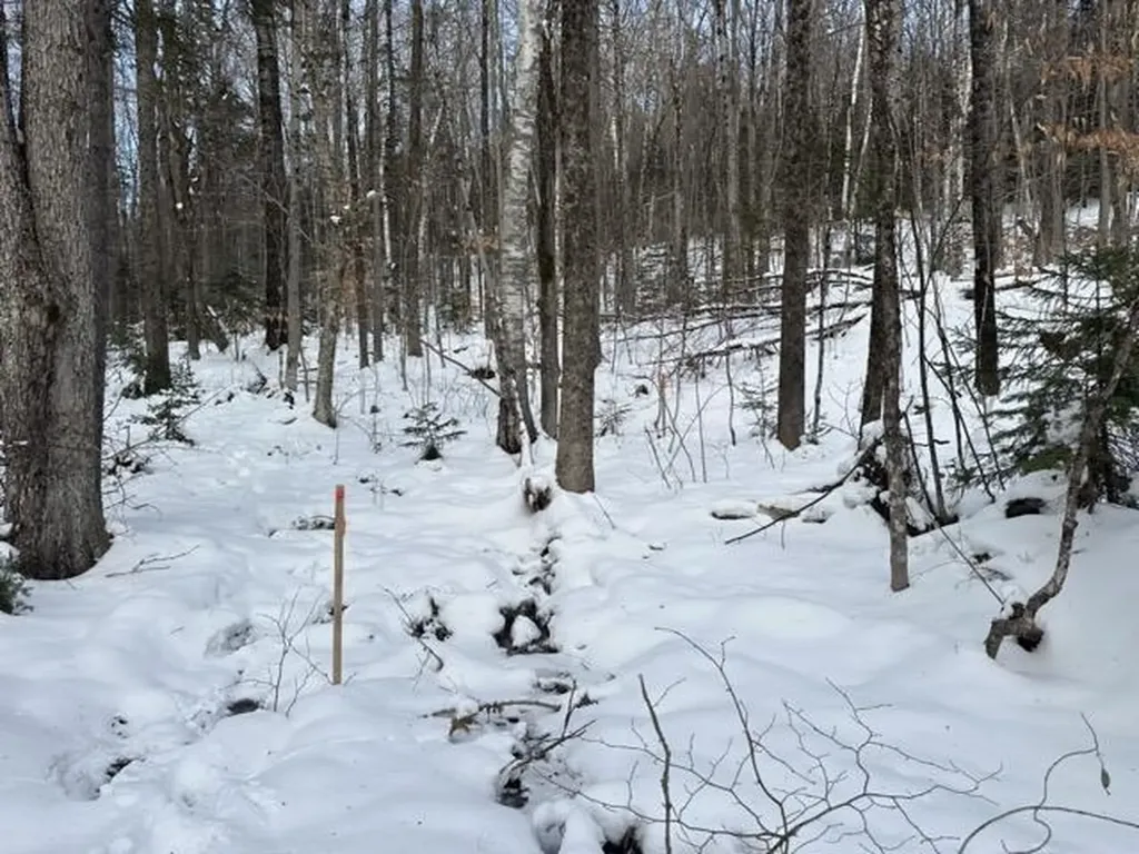 00 Loon Circle Londonderry VT 05155